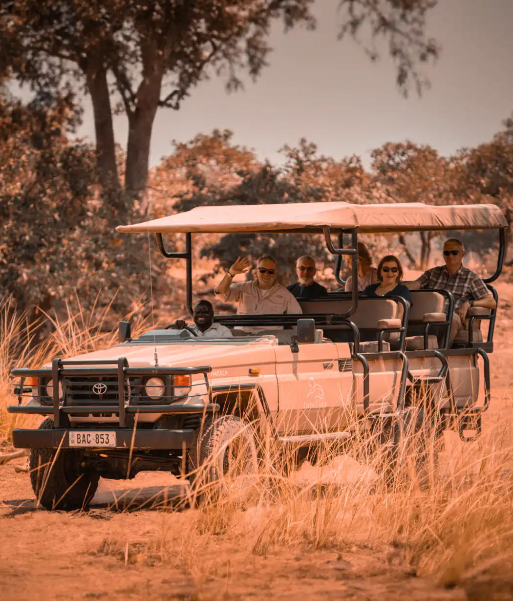 jungle Safari South Luangwa National Park