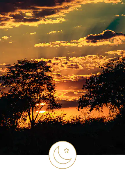 Morning and evening game drives with sundowners,