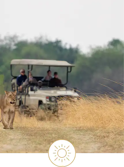 Morning and evening game drive Morning and evening game drive